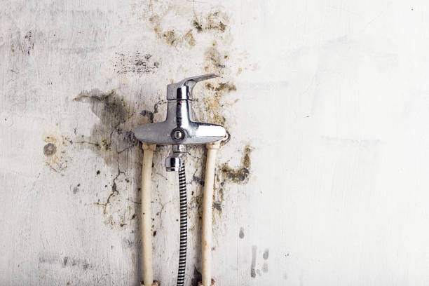 Best Mold Remediation for Specific Building Types in Buena, NJ