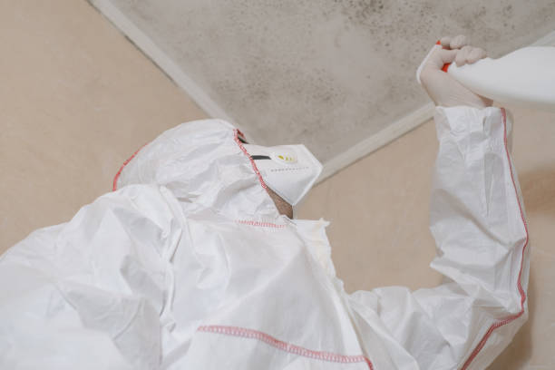 Best Industrial Mold Remediation in Buena, NJ